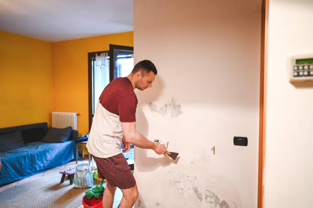 Trusted Timberville, VA Mold Remediation Experts